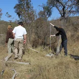 Vegetation Surveys 